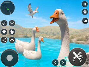 Crazy Goose Simulator